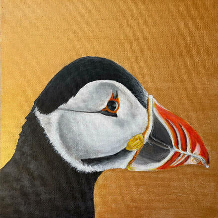 Puffin Westray, Orkney - painting by Pippa Leslie